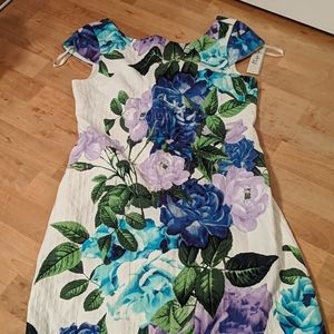 NWT Eliza J Dress
